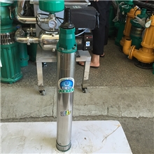 新界1.1kw螺杆泵